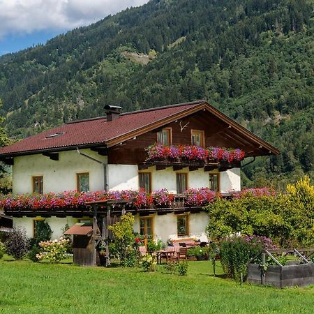 Haus Knapp Nette 4Er Fewo Apartman Dorfgastein Kültér fotó