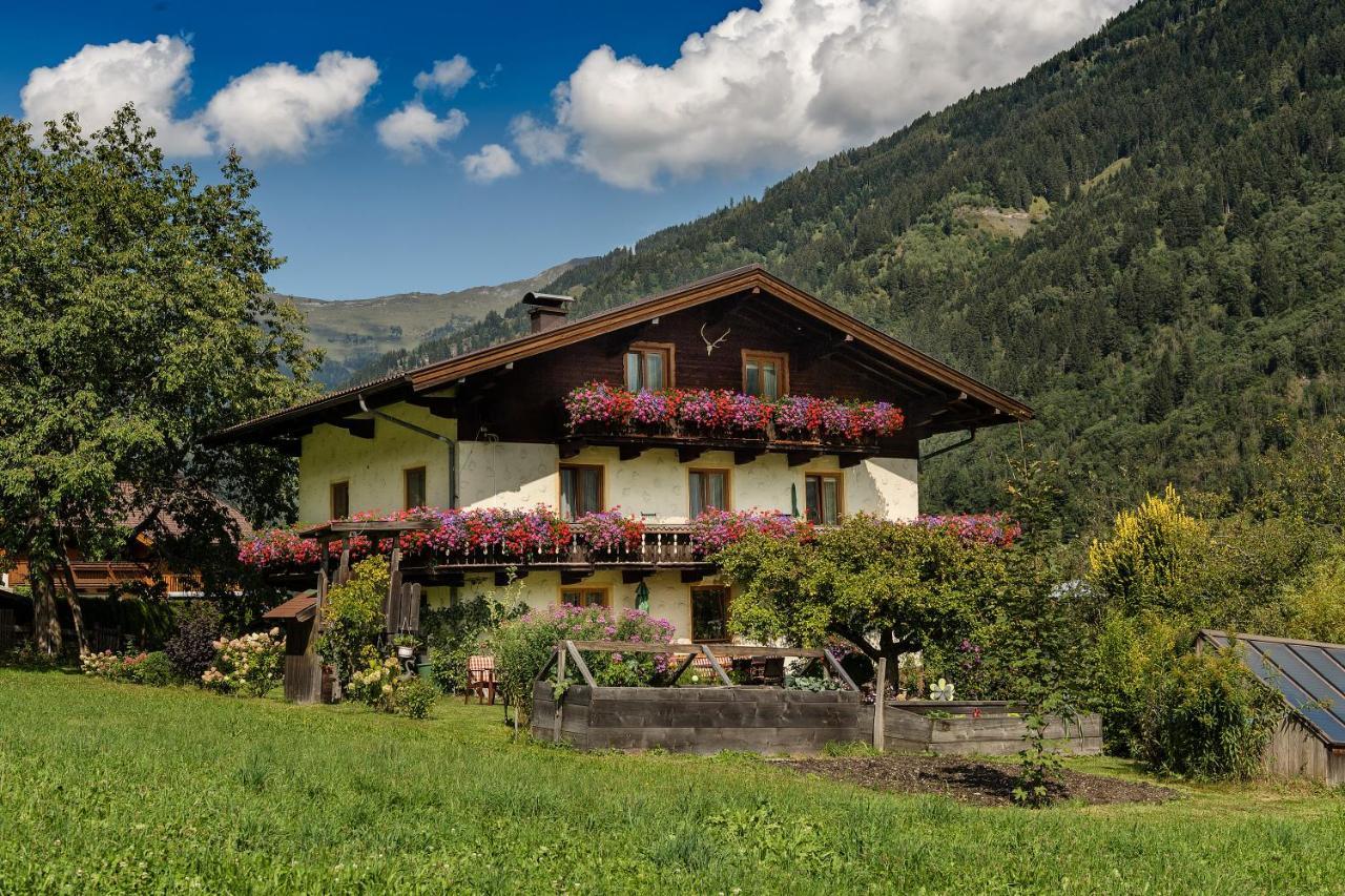 Haus Knapp Nette 4Er Fewo Apartman Dorfgastein Kültér fotó