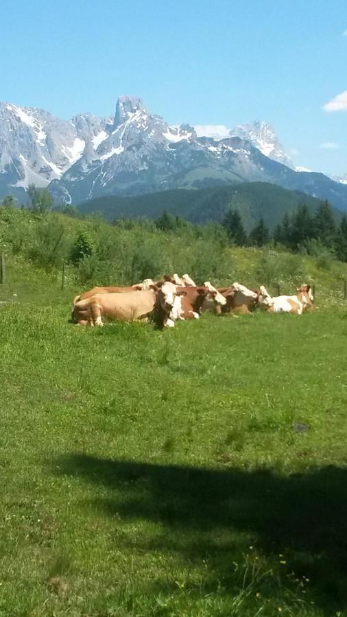 Haus Knapp Nette 4Er Fewo Apartman Dorfgastein Szoba fotó